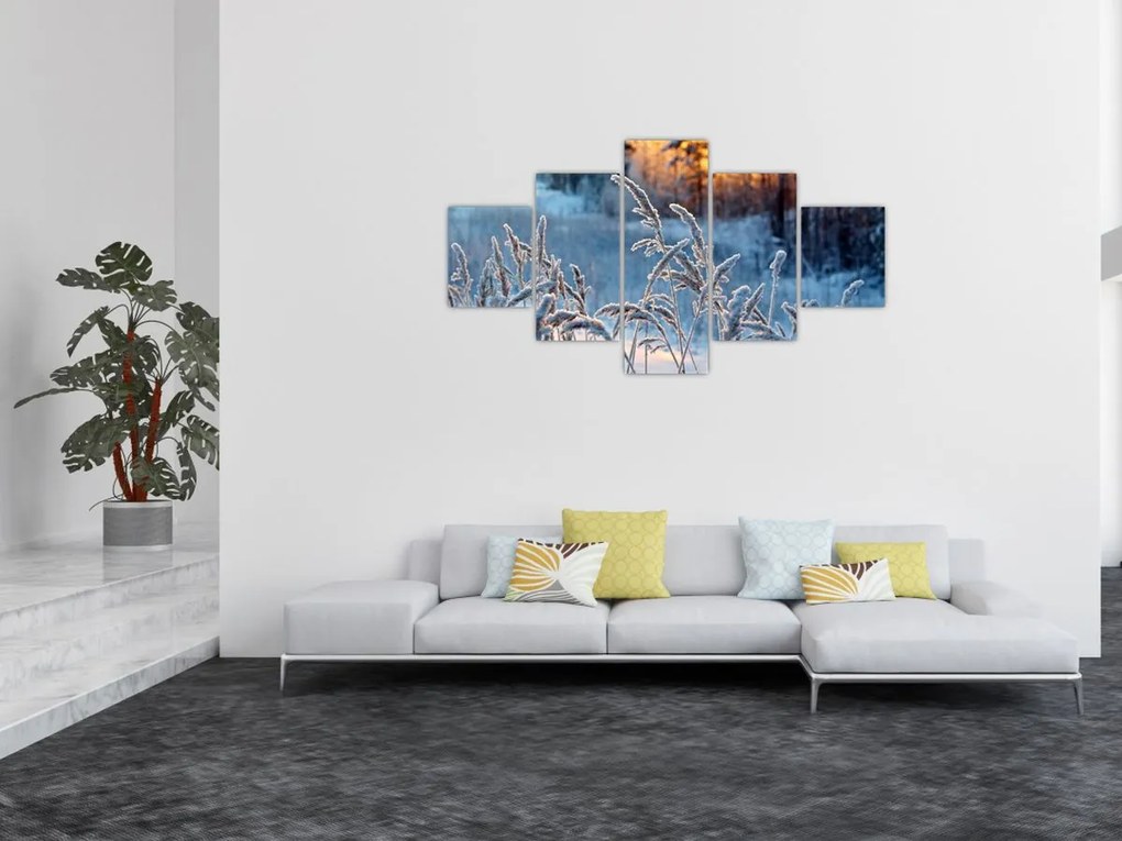Obraz - Zimowa łąka (125x70 cm)