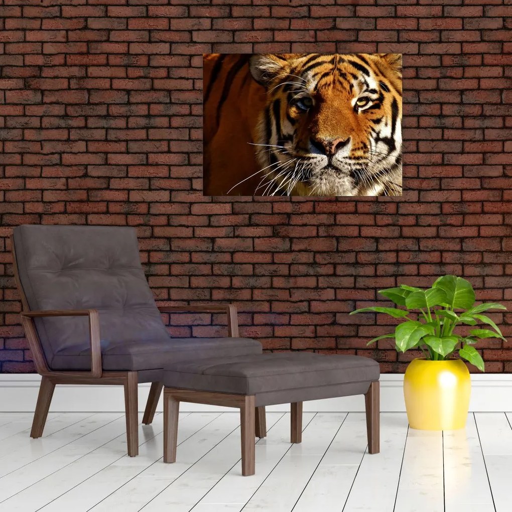 Obraz na szkle tygrysa (70x50 cm)