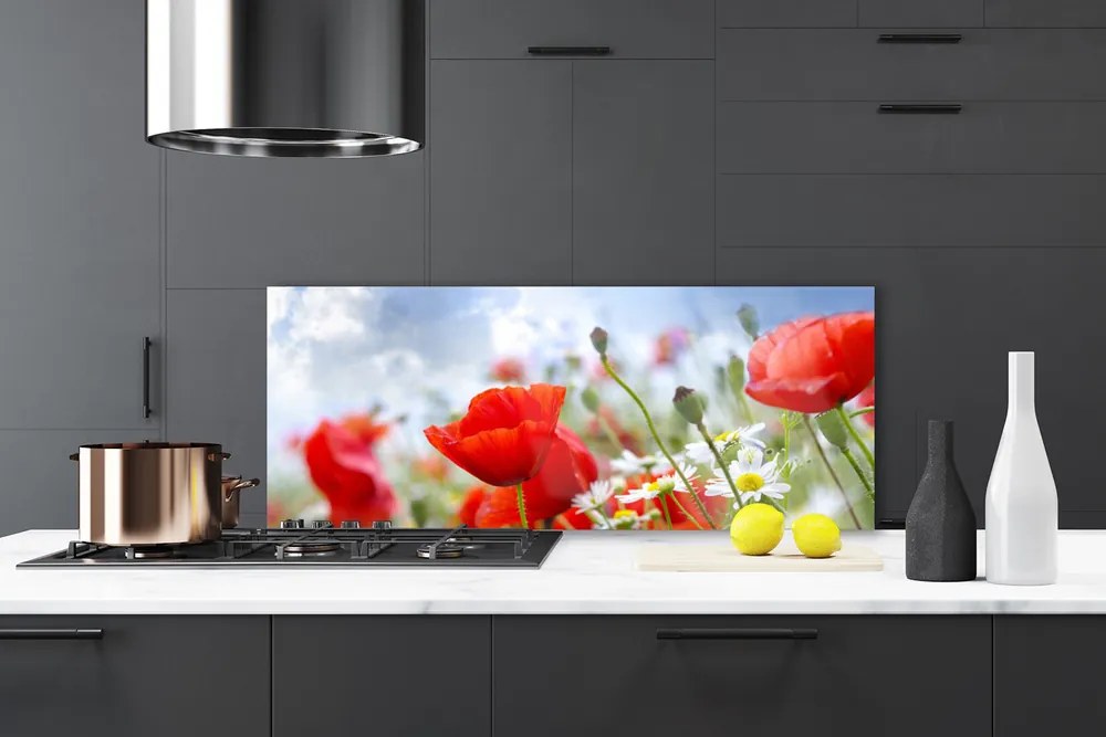 Panel Szklany Maki i Stokrotki na Łące