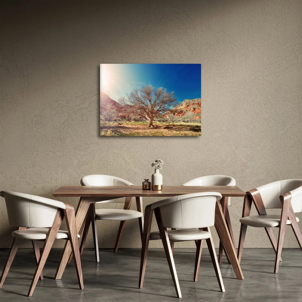 Obraz drzewa na pustyni (70x50 cm)