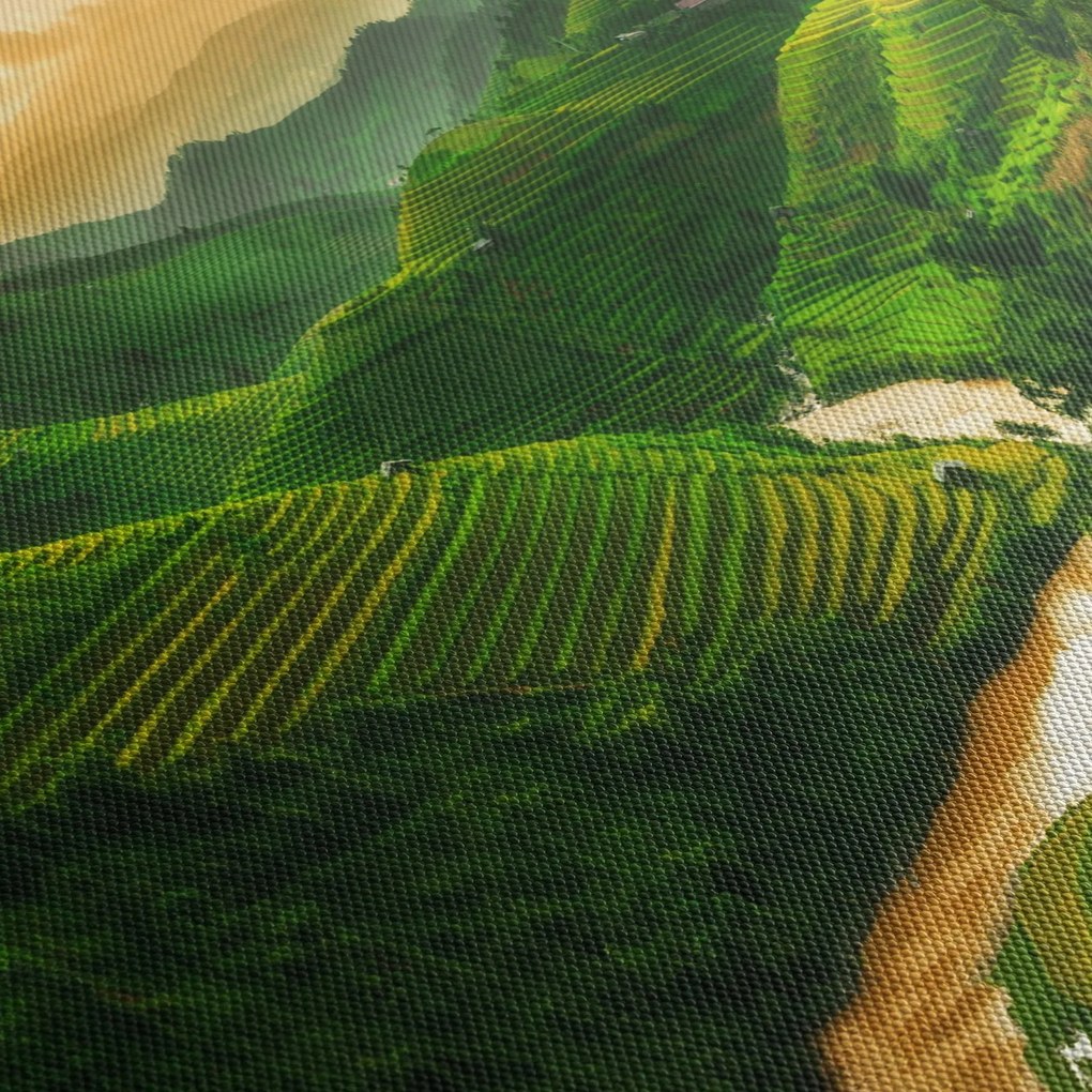 Obraz - Tarasy ryżowe Mu Cang Chai (125x70 cm)