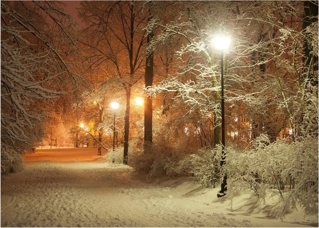 Obraz - Zaśnieżony park (70x50 cm)