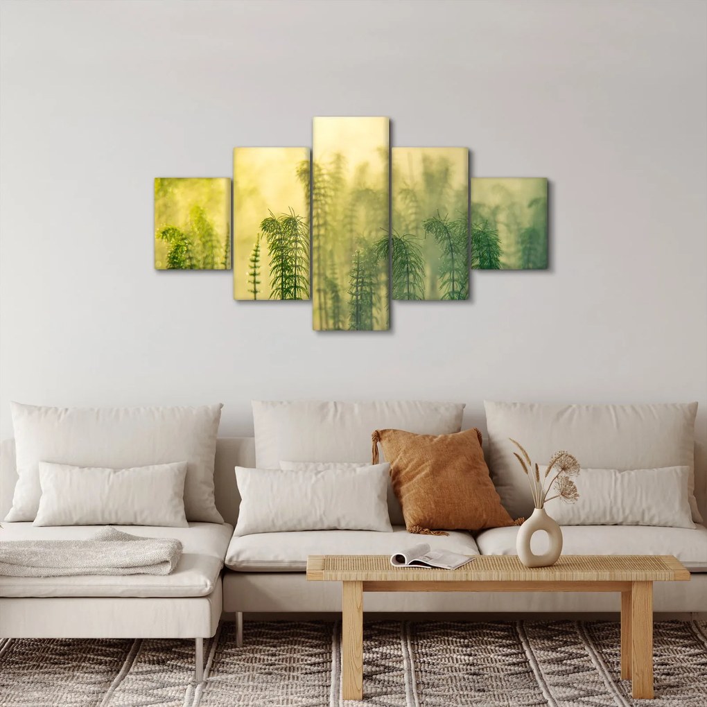 Obraz - Szczegół wiosennej mglistej przyrody (125x70 cm)