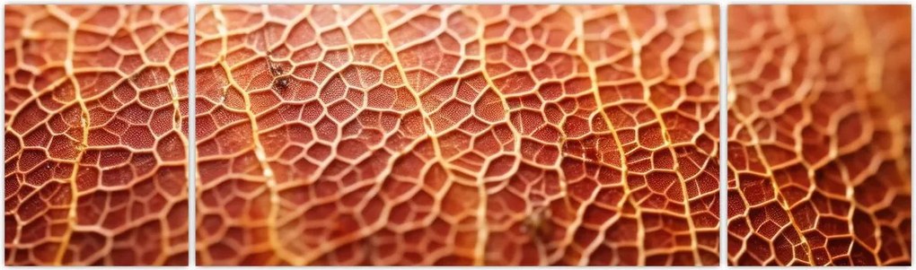 Obraz - Szczegóły tekstury (170x50 cm)