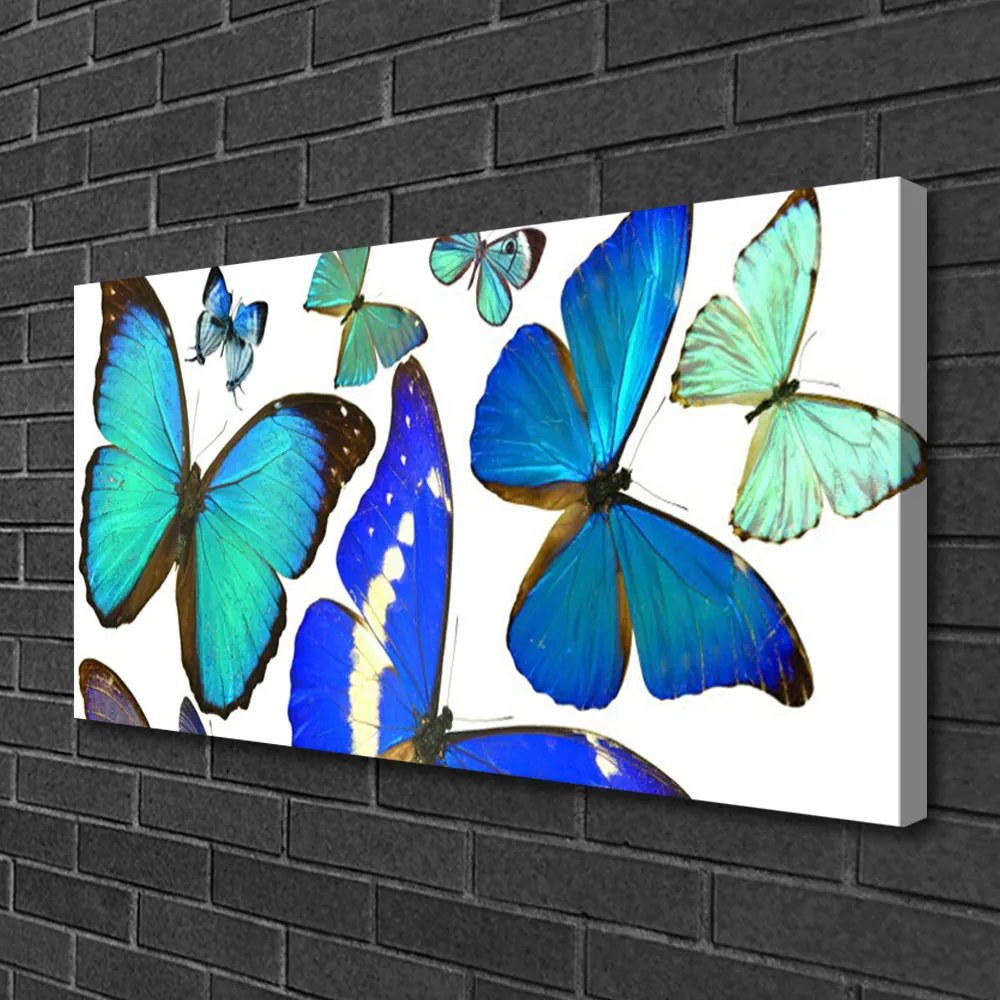 Fotoobraz na płótnie Taniec Motyli na Wietrze