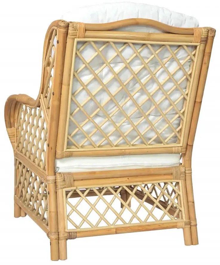 Fotel ogrodowy z prawdziwego rattanu W4-T71