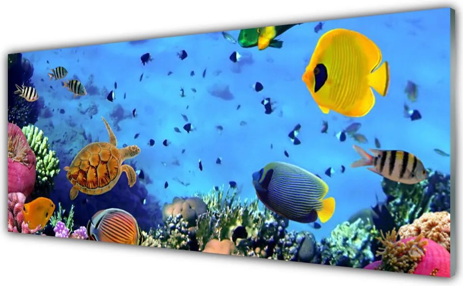 Szkło do Kuchni na Ścianę Podwodny Świat Rafy Koralowej