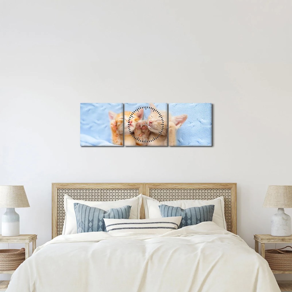 Obraz - Śpiące kocięta (z zegarem) (90x30 cm)