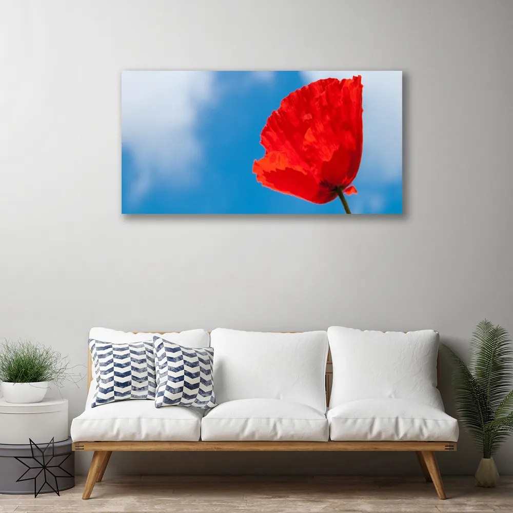 Obraz na płótnie Klasyczna Forma Tulipana