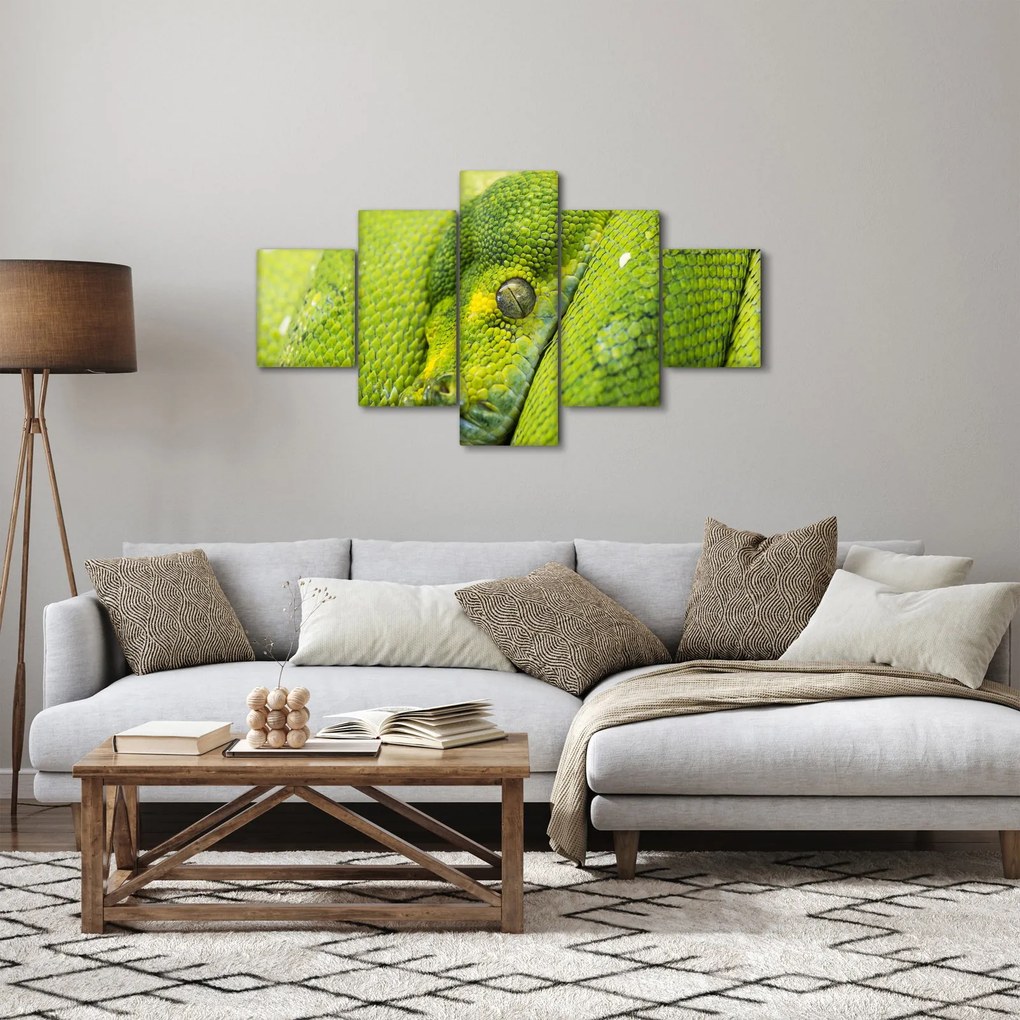 Obraz węża (125x70 cm)
