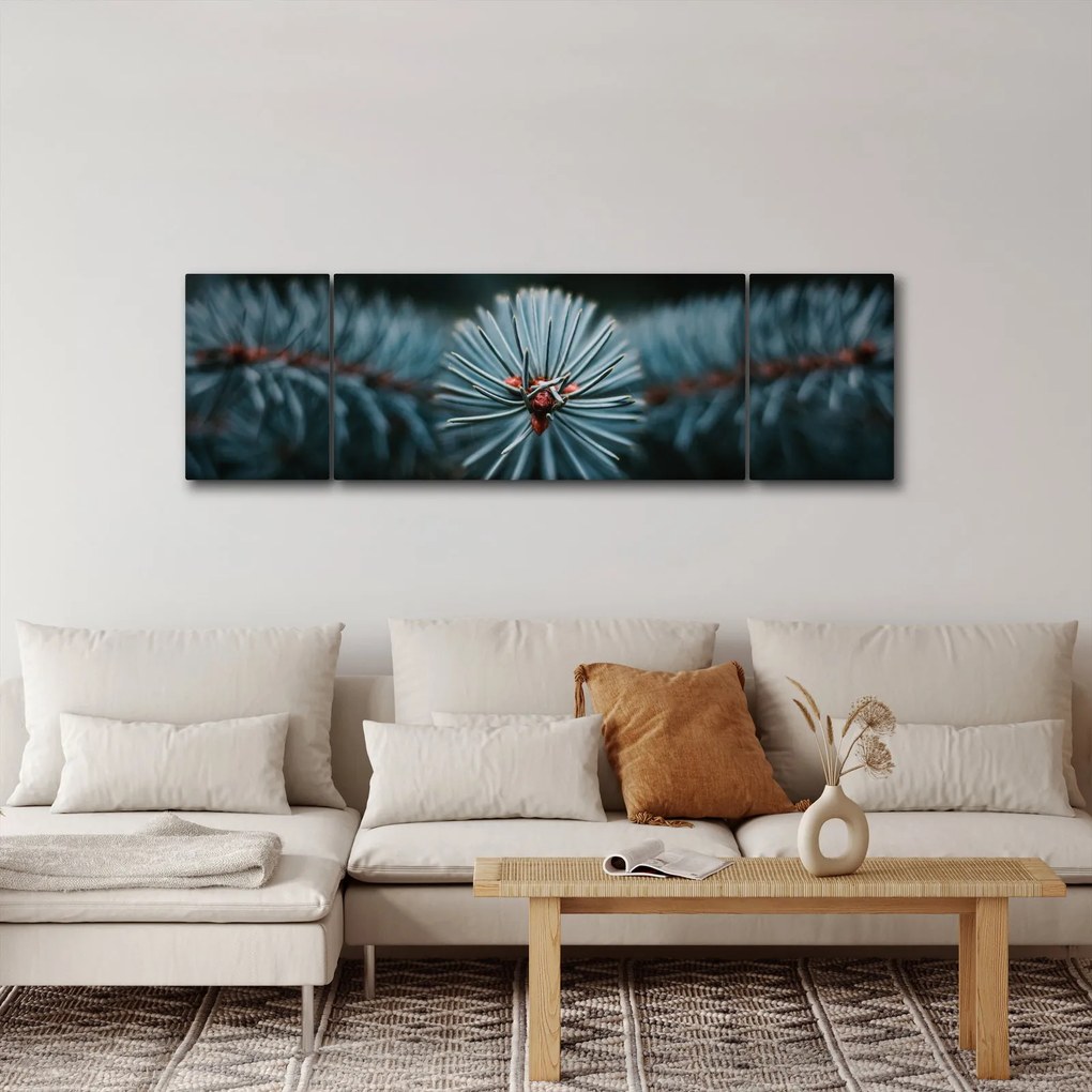 Obraz gałązki drzewa iglastego (170x50 cm)