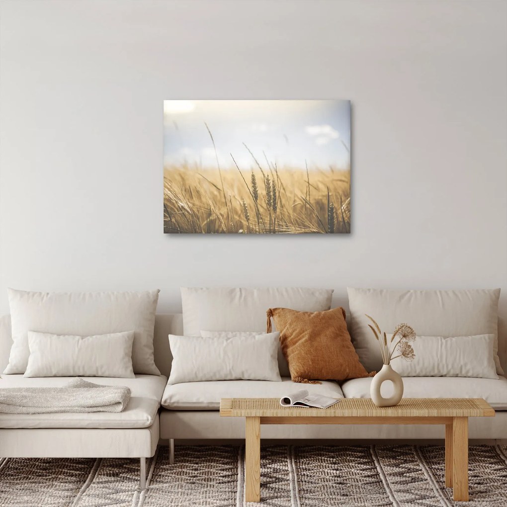 Obraz ziarna (70x50 cm)