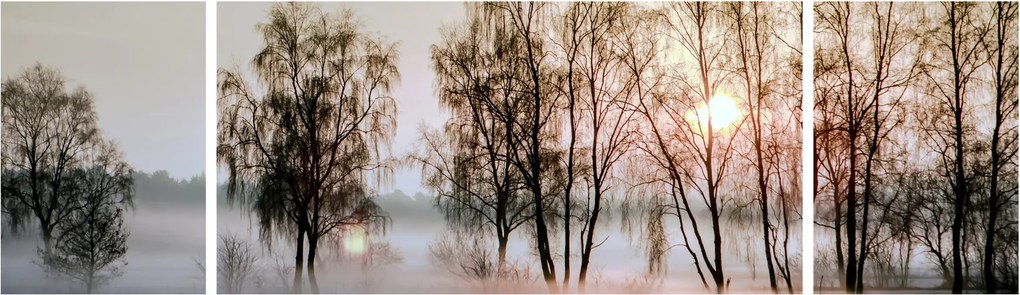 Obraz - Poranna suchość (170x50 cm)