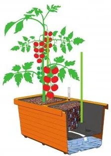 Plastia Sadzarka samonawadniająca Berberis DUO, czekolada, 78 cm