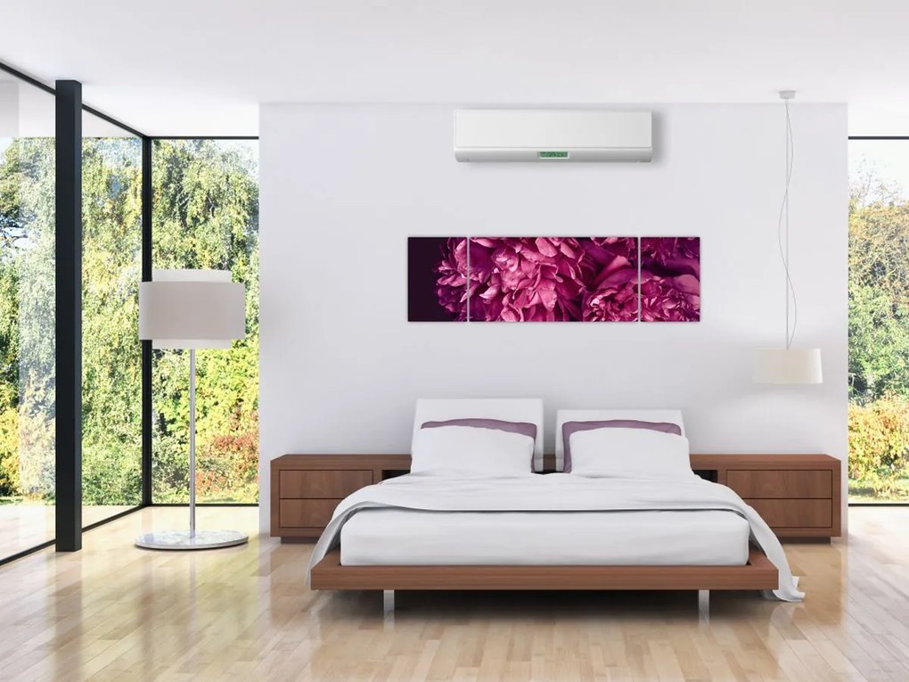 Obraz - Kwiaty piwonii (170x50 cm)