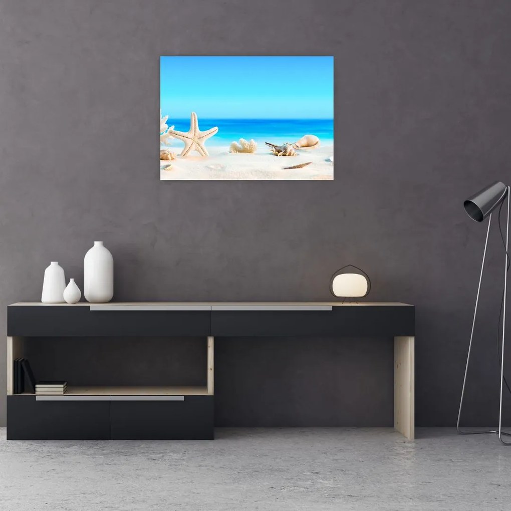 Obraz na szkle - Martwa natura z muszelkami (70x50 cm)