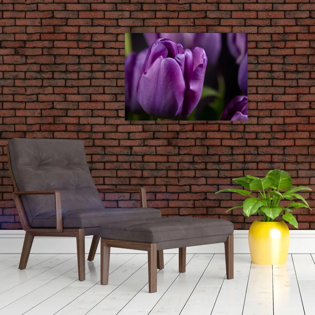 Obraz kwiatów tulipanów (70x50 cm)