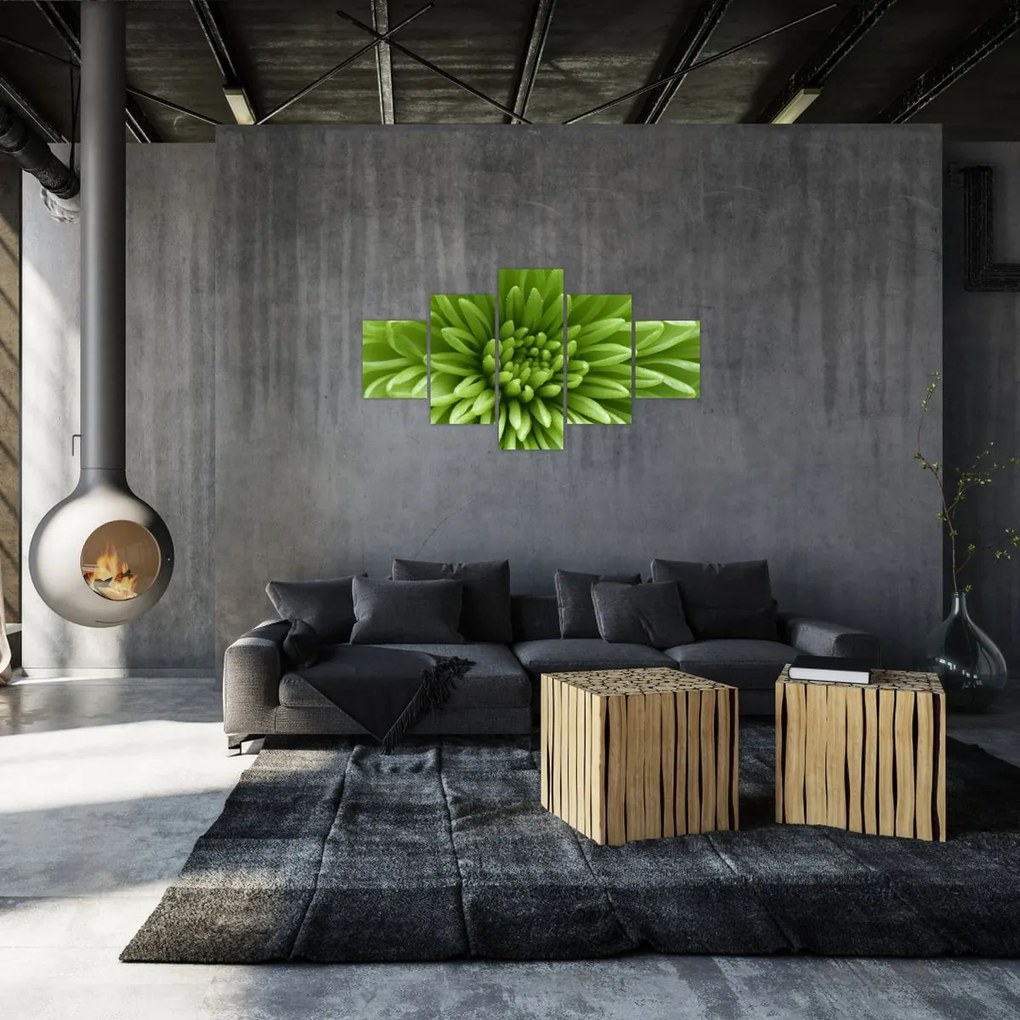 Obraz - Obraz rośliny w trybie makro (125x70 cm)