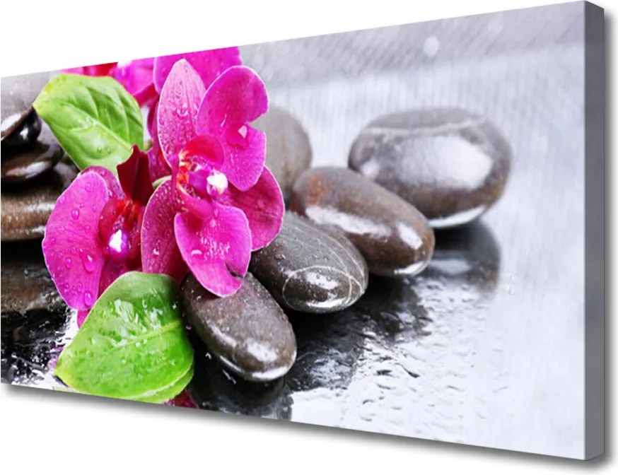 Duży obraz na płótnie Egzotyczny Storczyk w Detalu