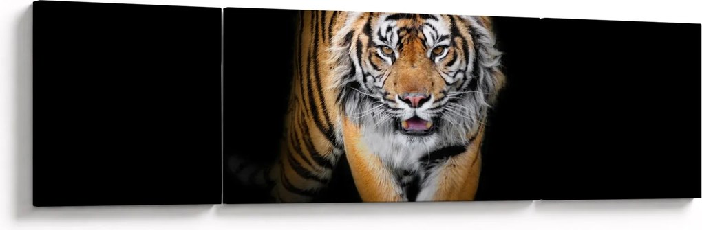 Obraz - Tygrys (170x50 cm)