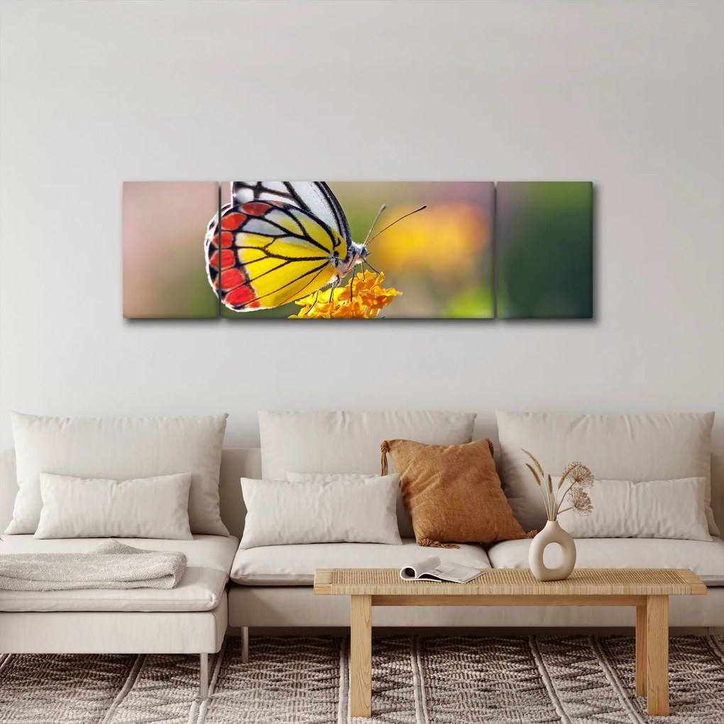 Obraz motyla na kwiatku (170x50 cm)