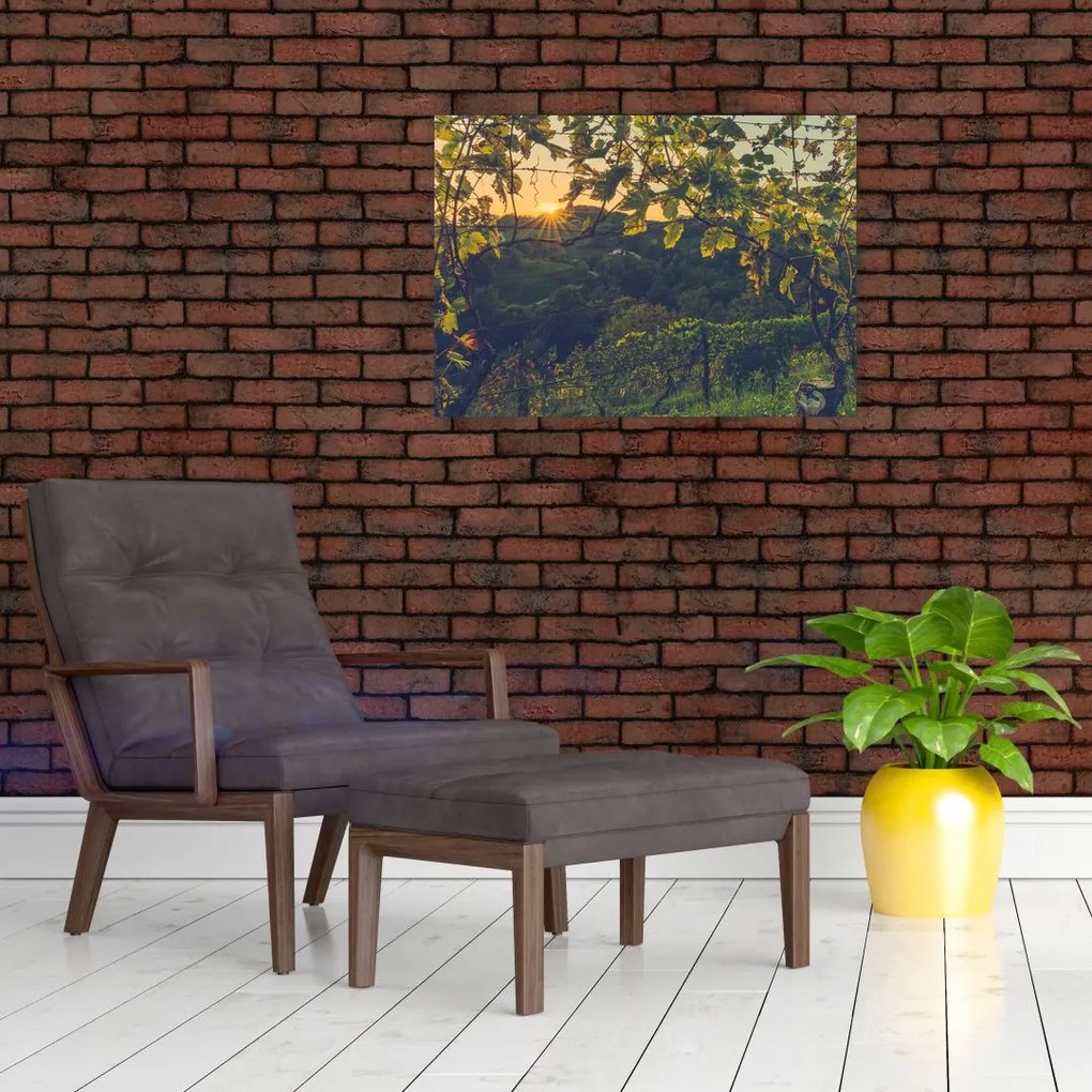 Obraz - Winnica (70x50 cm)