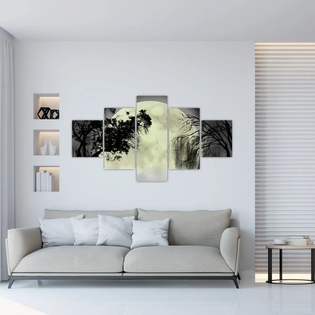 Obraz - Księżyc w pełni nad powierzchnią, wersja czarno - biała (125x70 cm)