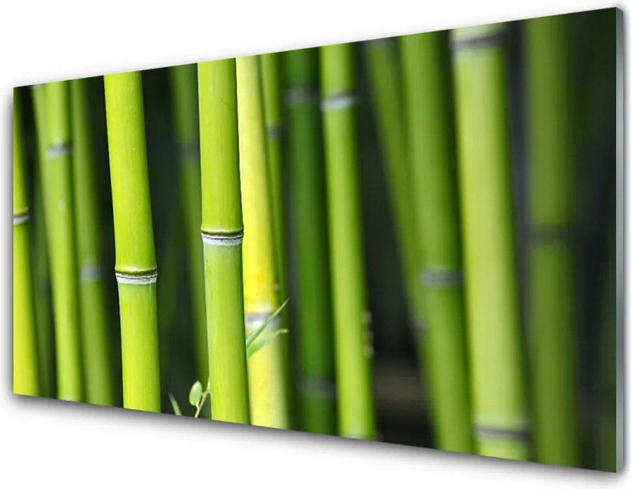 Panel nad blat kuchenny Zielone Łodygi Bambusa
