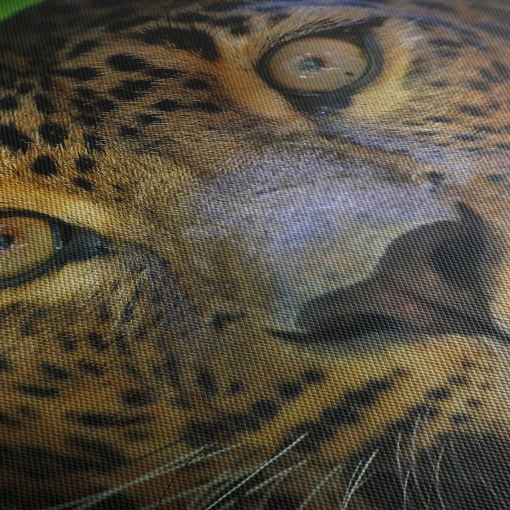 Obraz - Portret lamparta, Sri Lanka (125x70 cm)