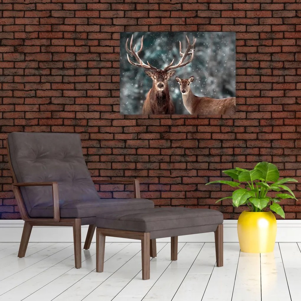 Obraz - Jeleń i łania w zaśnieżonym lesie (70x50 cm)