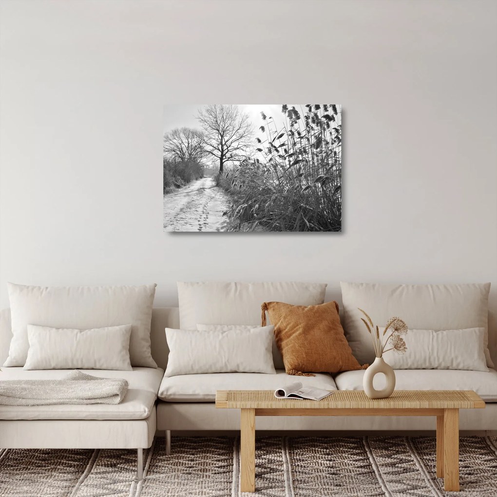Obraz na szkle - Pola w zimie (70x50 cm)