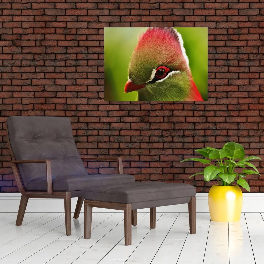 Obraz na szkle - kolorowy ptak (70x50 cm)