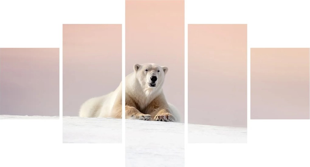 Obraz - Niedźwiedź polarny (125x70 cm)