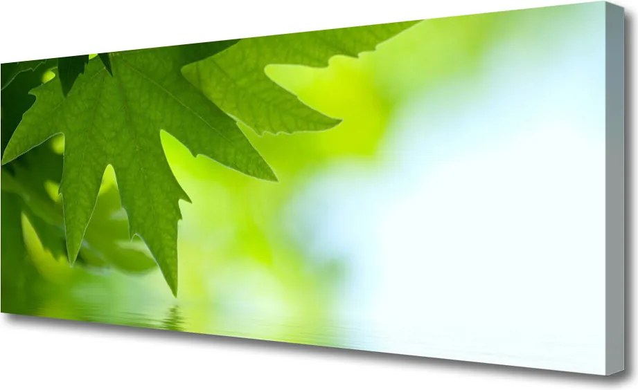 Obraz na płótnie Soczyste Zielone Liście