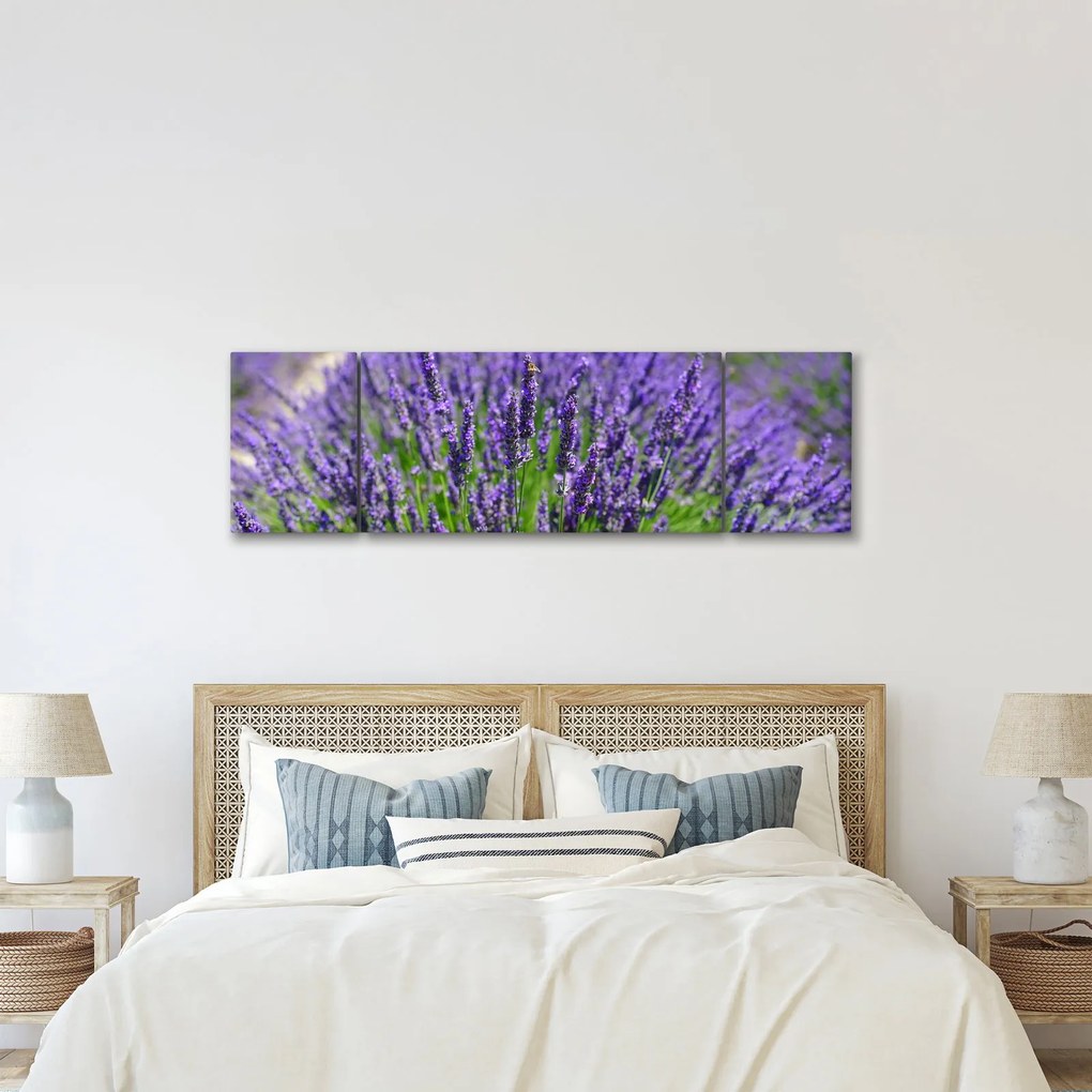 Obraz - lawenda (170x50 cm)