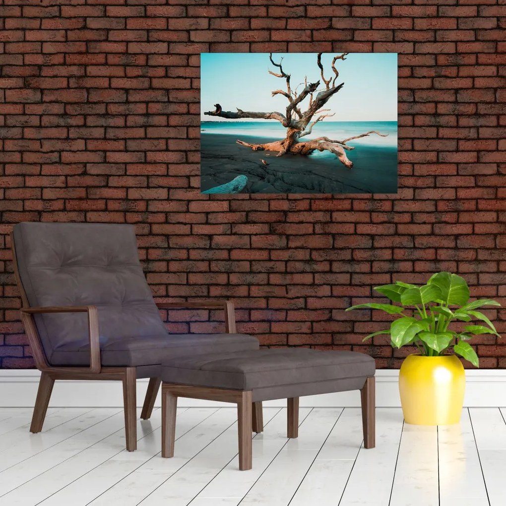 Obraz na szkle -  Wyłowiono na plaży (70x50 cm)