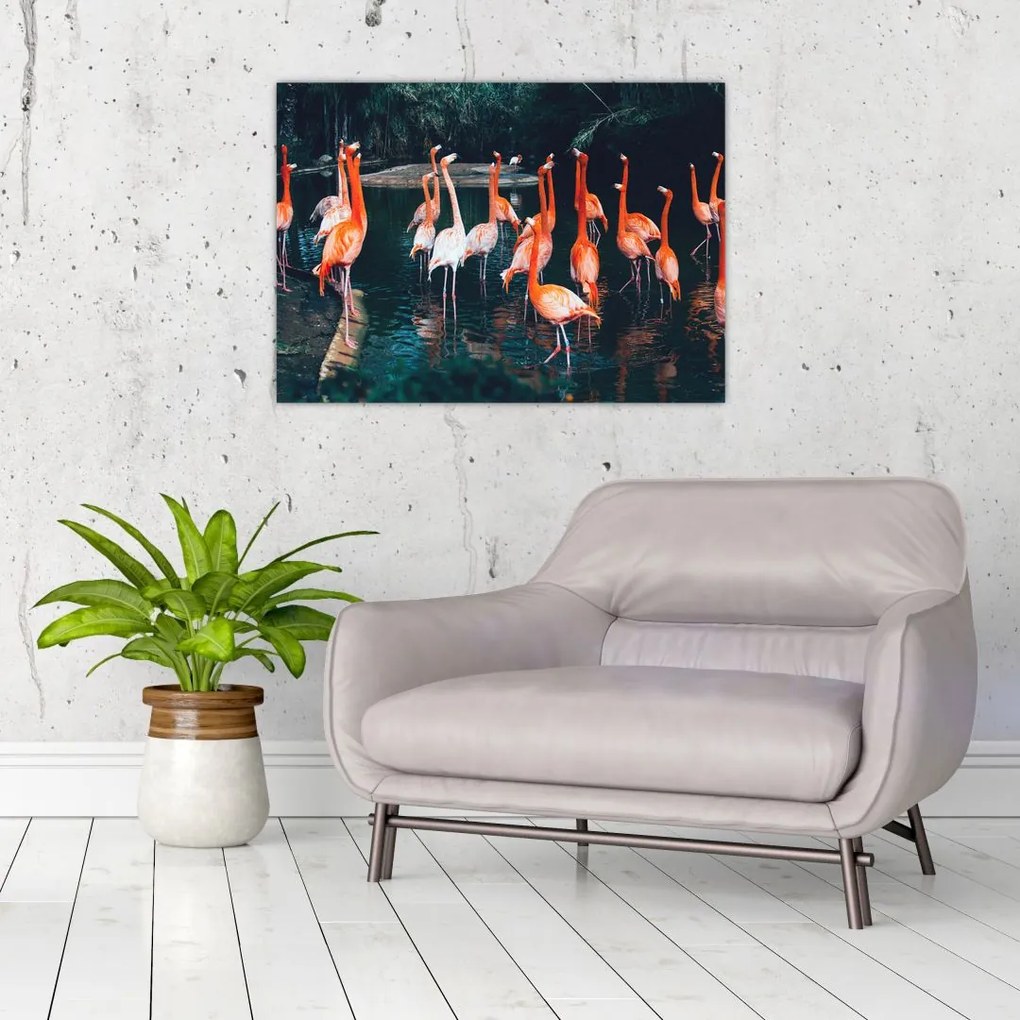 Obraz na szkle stada flamingów (70x50 cm)