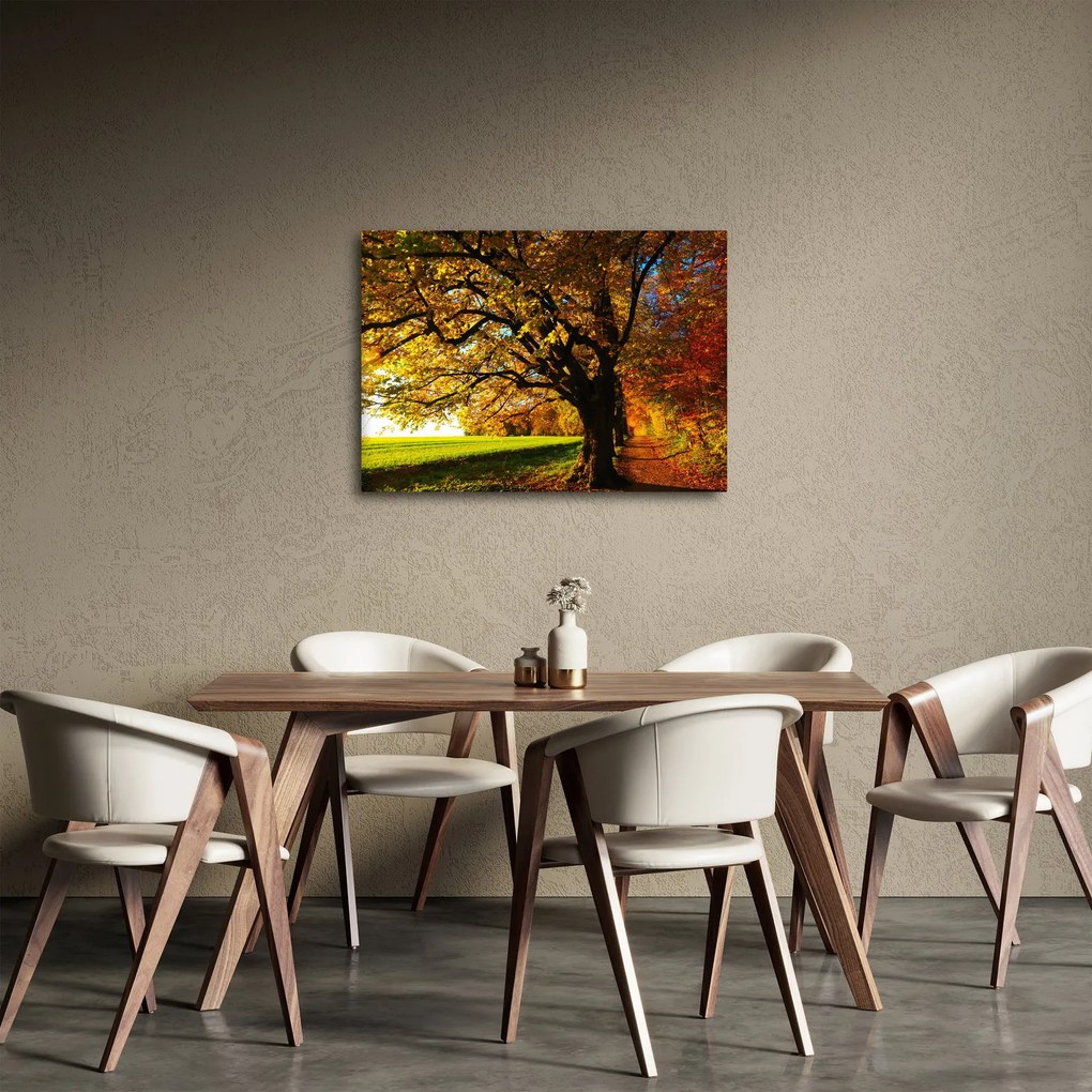 Obraz jesieni (70x50 cm)