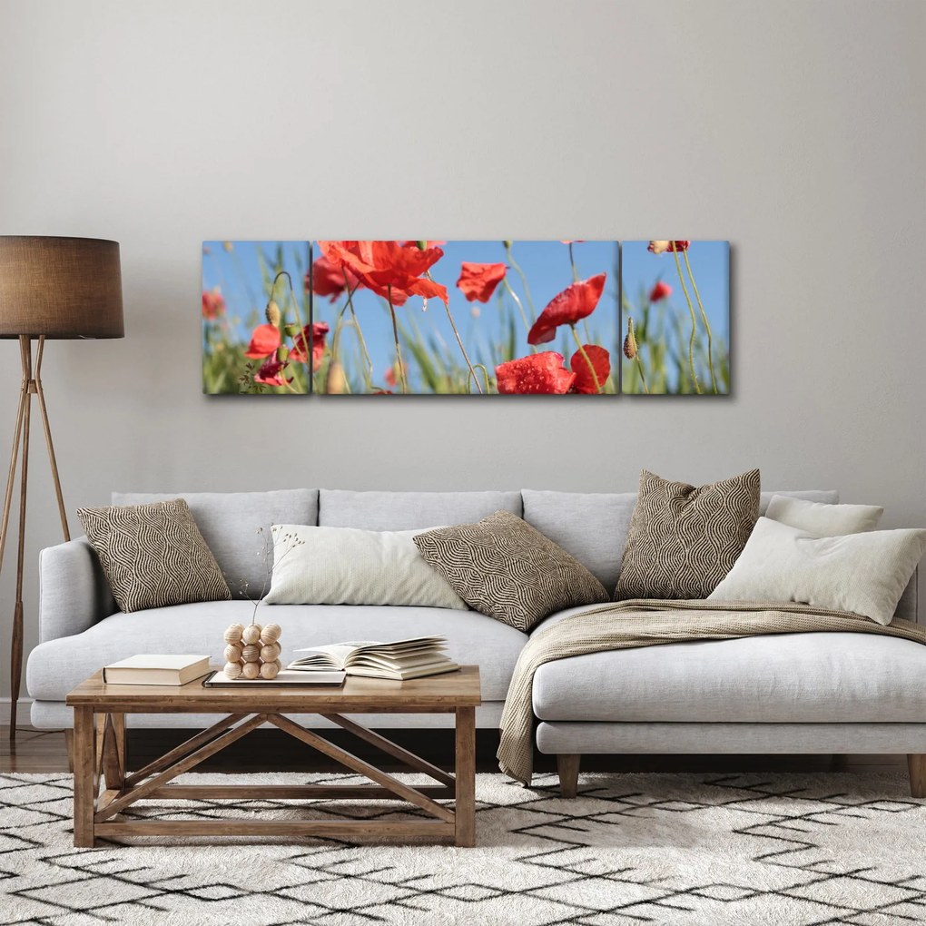 Obraz - Maki (170x50 cm)