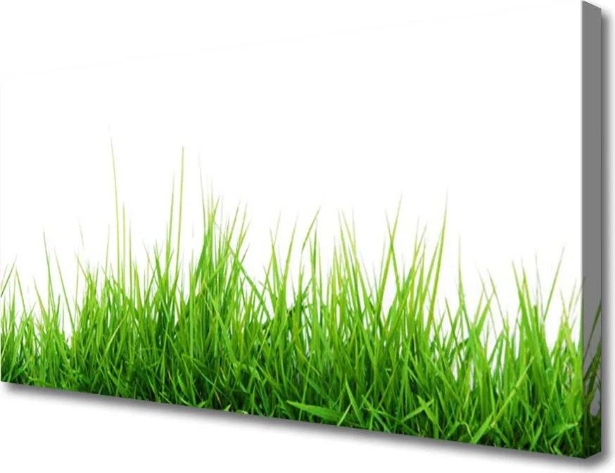 Fotoobraz na płótnie Naturalny Dywan Trawy