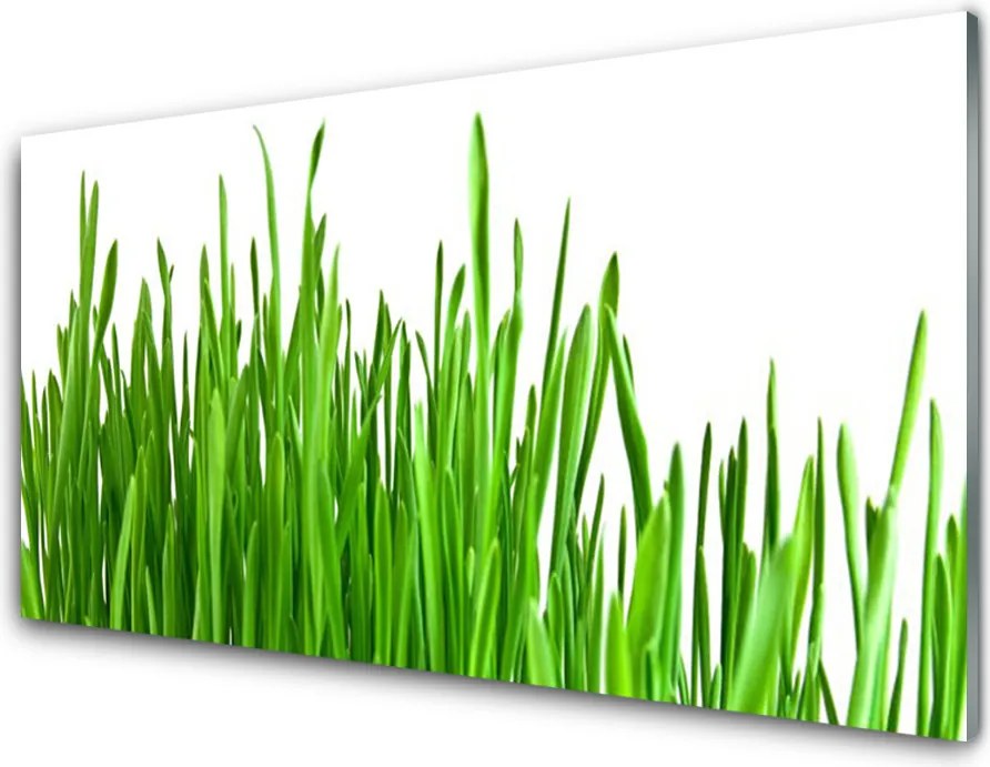 Panel Kuchenny Szum Traw Na Wietrze