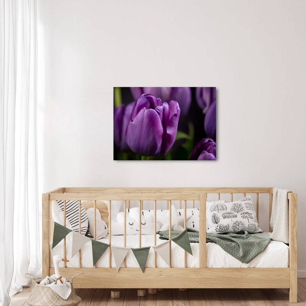 Obraz kwiatów tulipanów (70x50 cm)