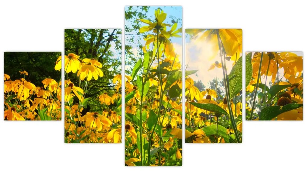 Obraz żółtych kwiatów (125x70 cm)