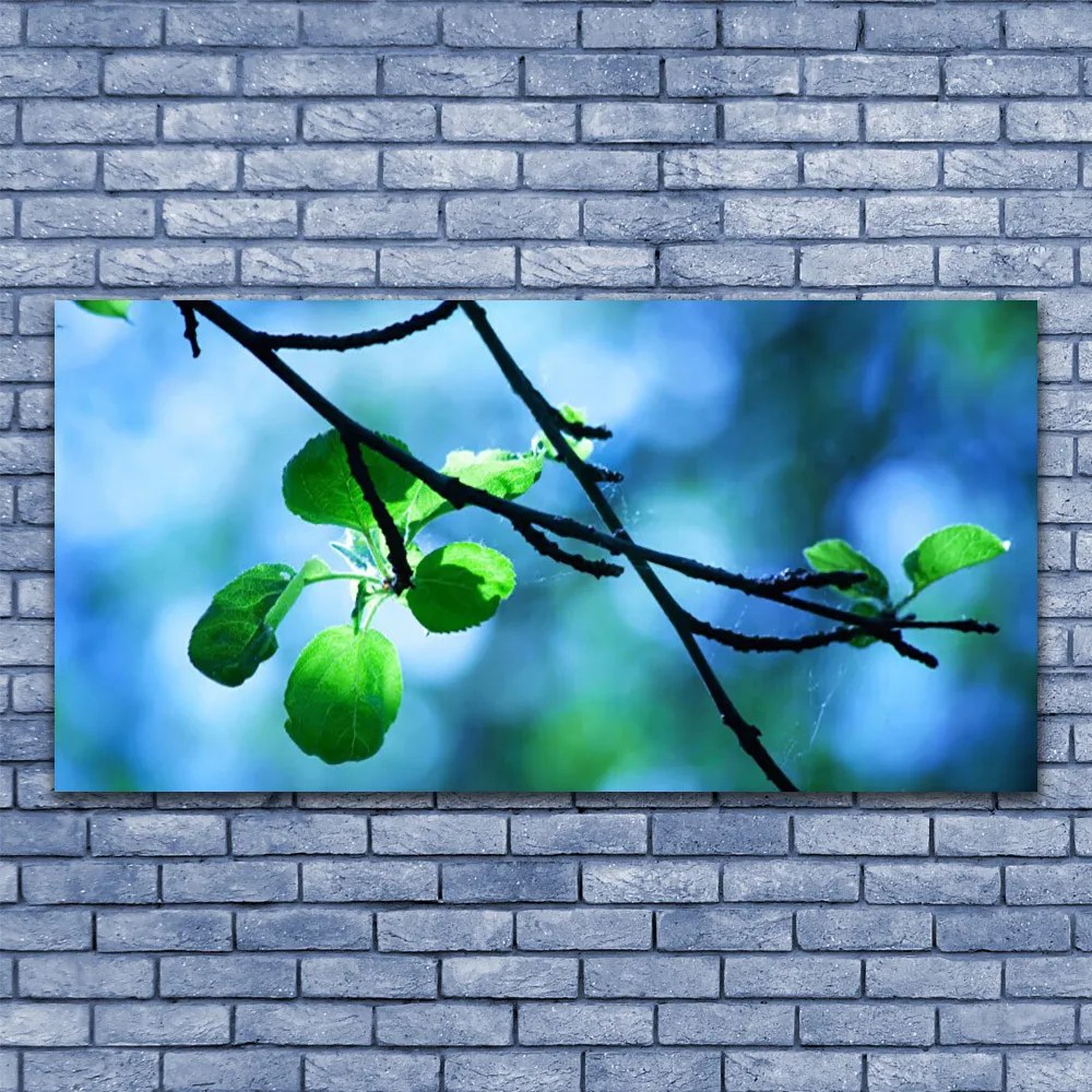 Obraz Canvas Gałąź Liście Roślina Natura