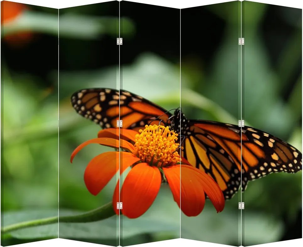 Parawan - Motyl na kwiatku (210x170 cm)