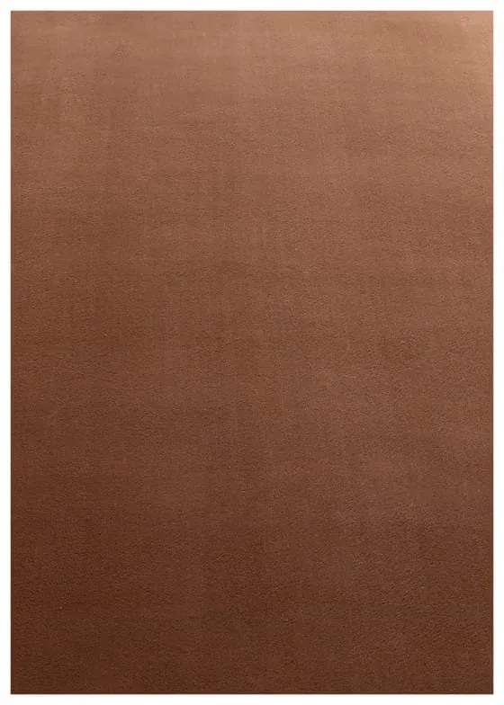 Dywan pluszowy Sky brązowy 160 cm x 230 cm