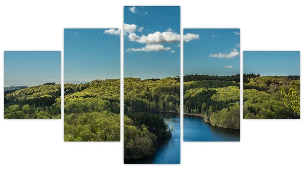Obraz - Jezioro w lesie (125x70 cm)