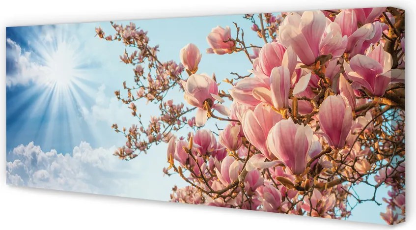 Obraz canvas na ścianę Magnolia na tle Nieba w Słońcu