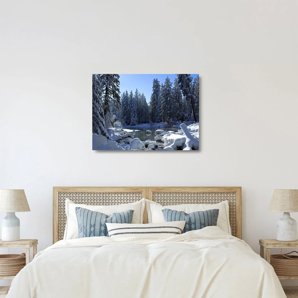 Obraz na szkle - śnieżny las (70x50 cm)