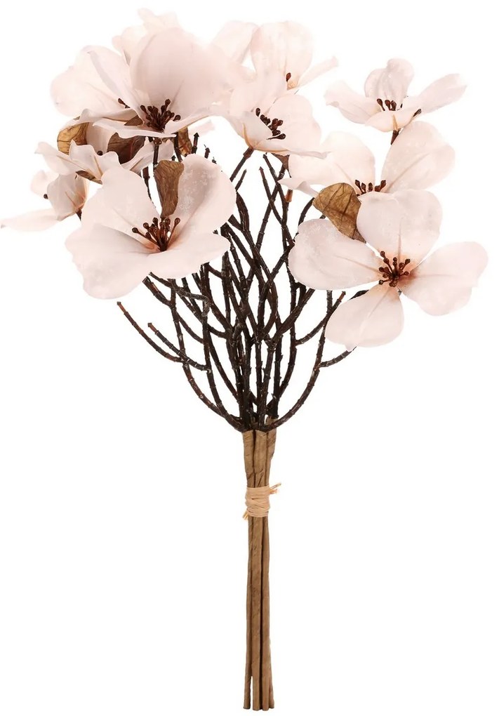 Magnolia biała, 6 gałązek w pęku, 30 x 43 cm